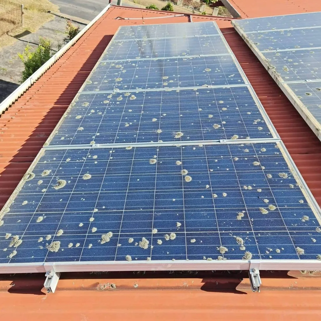 Solar panel with heavy bird-dropping and lichen contamination needing specialised treatment