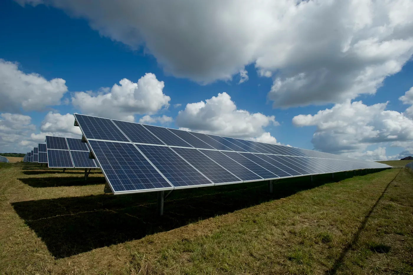 Signature Solar Care team brush-cleaning a residential solar array